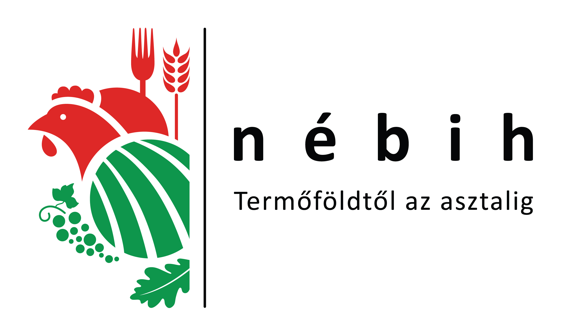 news/137/137_0.jpg