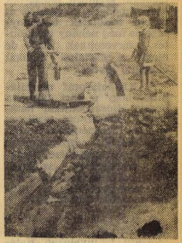 II-es telep BorsodiBanyasz_1974-1-1675457698__pages141-141 (1)_02.jpg