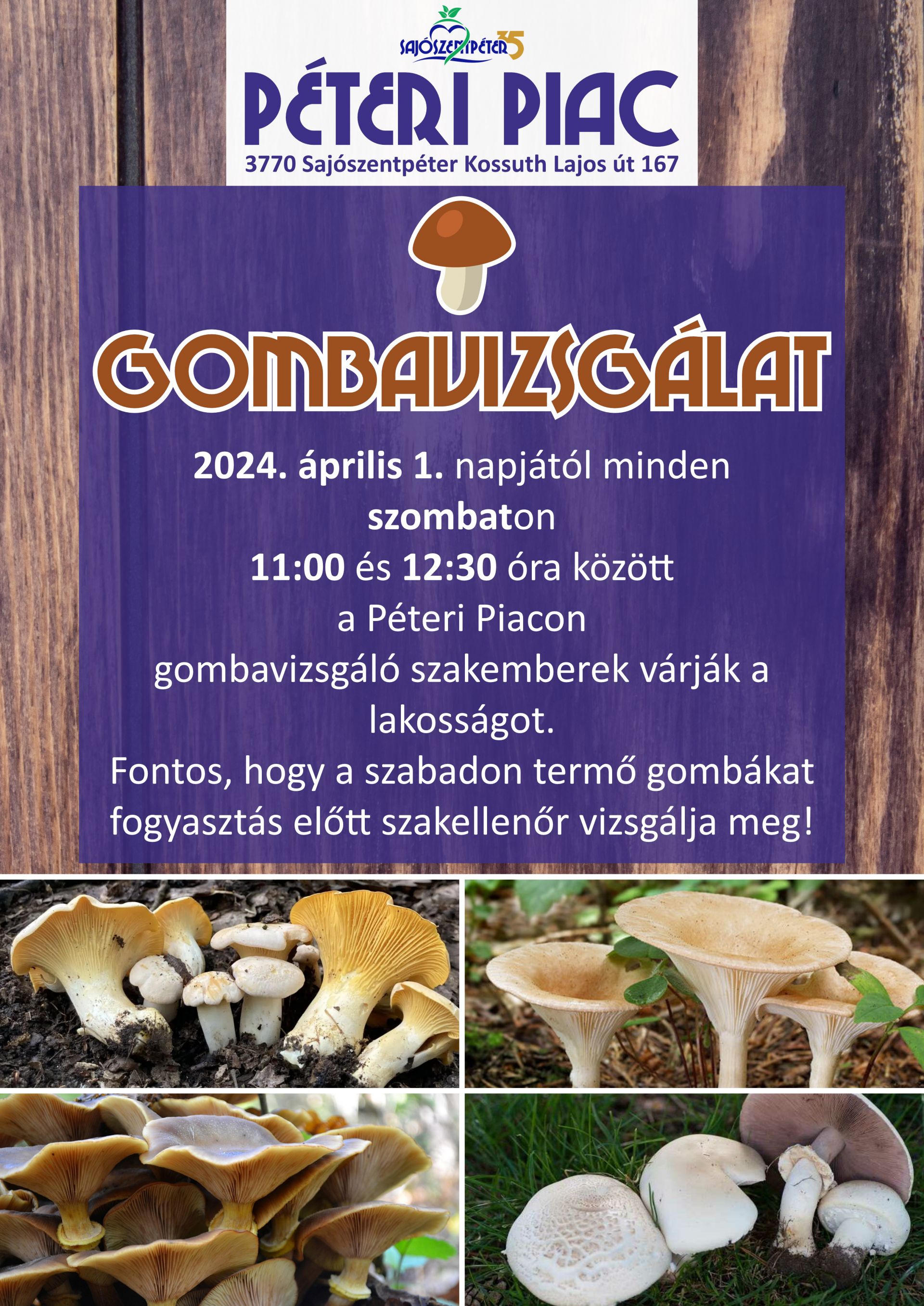 Piac gomba 2024_v2.jpg