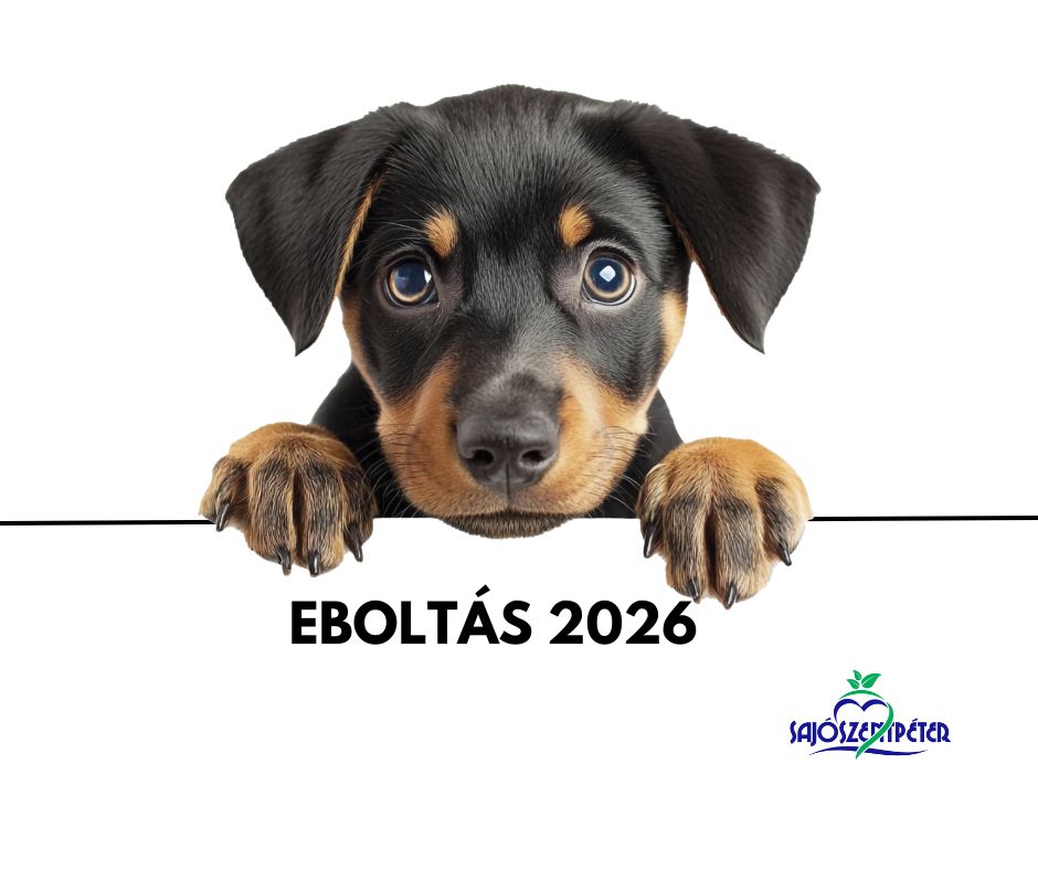 Eboltas_2026_HONLAP.jpg