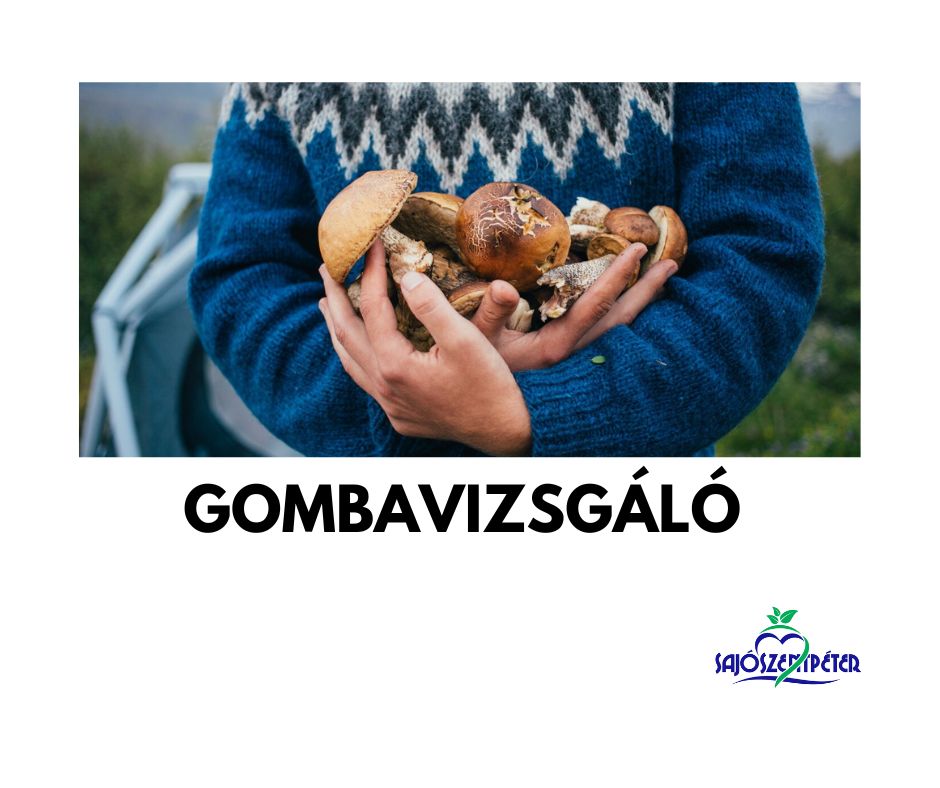 Gombavizsgalo.jpg