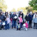 Saj&oacute;szentp&eacute;teri Maj&aacute;lis-004.jpg