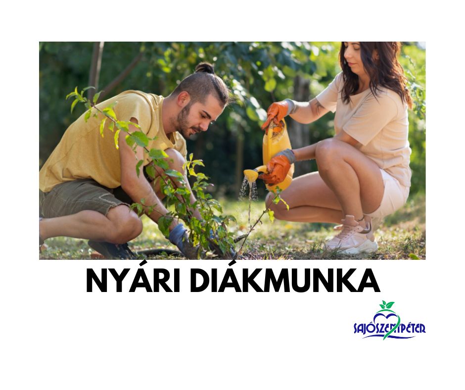 nyari_diakmunka_2025_INDEXKEP.jpg